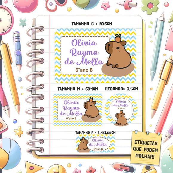 Kit Etiquetas Escolares Capivara 79 Unidades