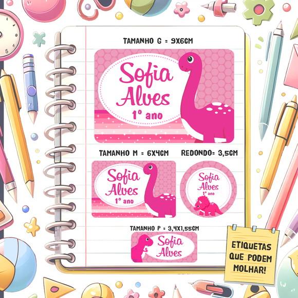 Kit Etiquetas Escolares Dinossauro Rosa 79 Unidades