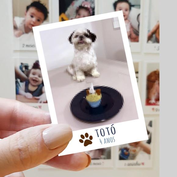 Polaroid Imã de Geladeira Pet