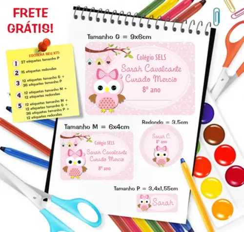 Kit com 79 Etiquetas Escolares Personalizadas Coruja (adp)