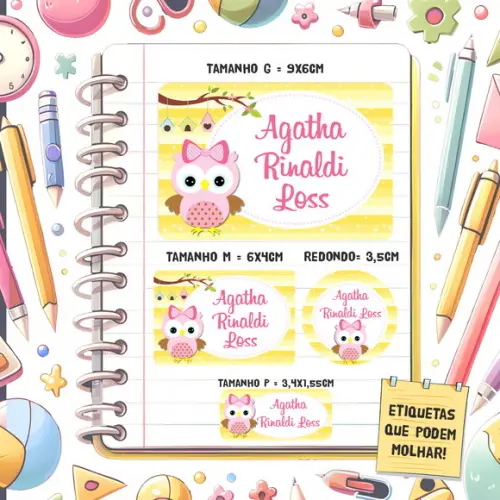 Kit Etiquetas Escolares Corujinha 79 Unidades