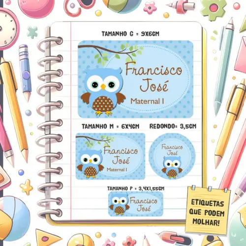 Kit Etiquetas Escolares Corujinha 79 Unidades