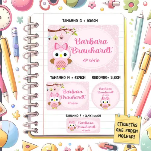 Kit Etiquetas Escolares Corujinha 79 Unidades