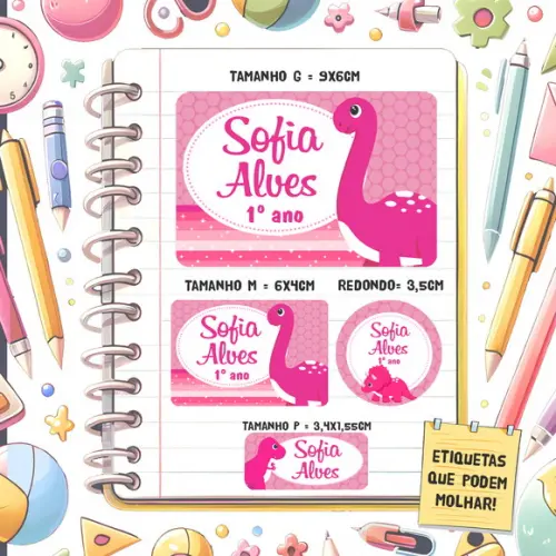 Kit Etiquetas Escolares Dinossauro Rosa 79 Unidades