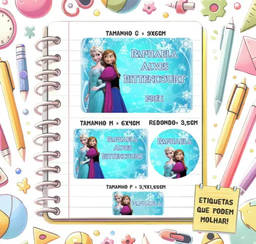 Kit Etiquetas Escolares Frozen 79 Unidades