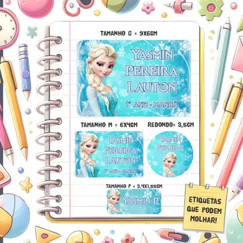 Kit Etiquetas Escolares Frozen 79 Unidades