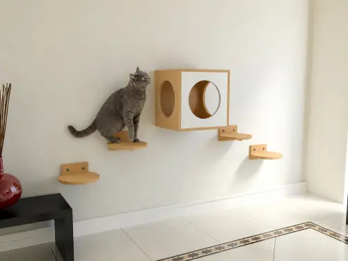 Playground para Gatos de Parede Chartreux em mdf