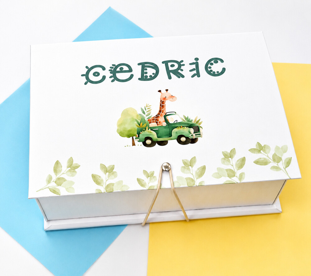 Kit maternidade livro do bebê,  mêsversário, caderneta de saú