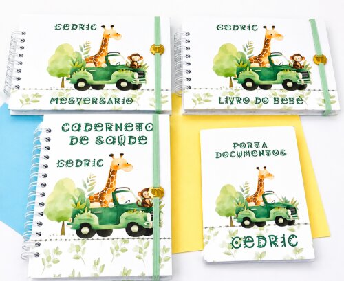 Kit maternidade livro do bebê,  mêsversário, caderneta de saú