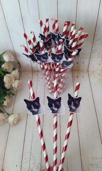 Canudo com Foto Pet Gato
