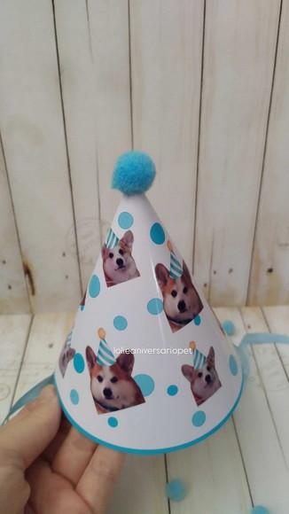 Chapeuzinho Aniversário Cachorro com Foto