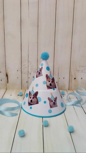 Chapeuzinho Aniversário Cachorro com Foto