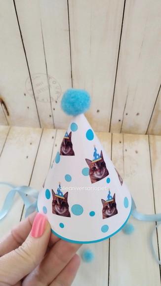 Chapeuzinho Aniversário Gato com Foto