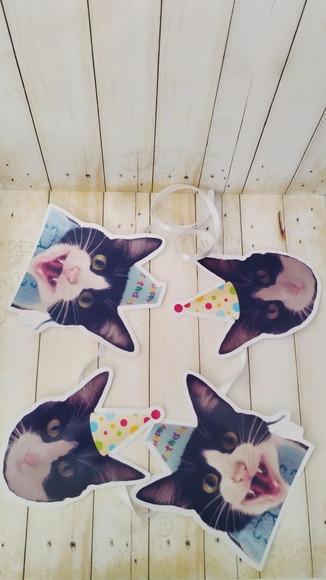 Kit Bandeirola com Foto e Chapeuzinho Gato