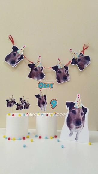 Kit Bandeirola com Foto, Topper e Display com Foto Cachorro