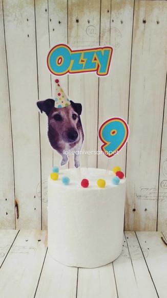 Kit Bandeirola com Foto, Topper e Display com Foto Cachorro