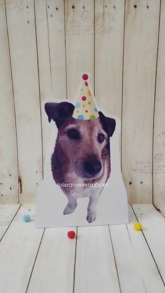 Kit Bandeirola com Foto, Topper e Display com Foto Cachorro