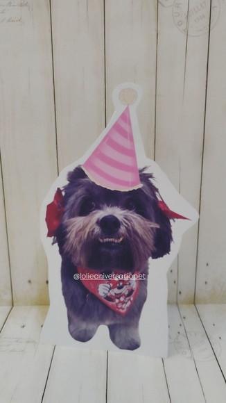 Kit Bandeirola com Foto, Topper e Display com Foto Cachorro