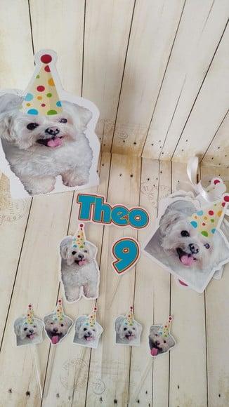 Kit Bandeirola com Foto, Topper e Display com Foto Cachorro