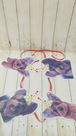 Kit Bandeirola com Foto, Topper e Display com Foto Cachorro