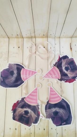 Kit Bandeirola com Foto, Topper e Display com Foto Cachorro