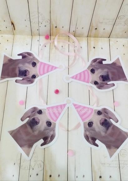 Kit Bandeirola com Foto, Topper e Display com Foto Cachorro