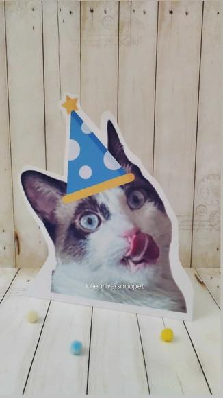 Kit Bandeirola com Foto, Topper e Display com Foto Gato