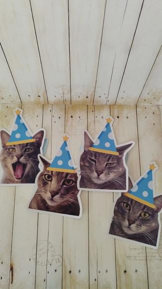 Kit Bandeirola com Foto, Topper e Display com Foto Gato