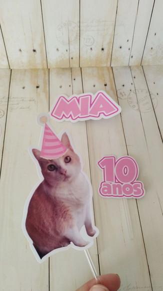 Kit Bandeirola com Foto, Topper e Display com Foto Gato
