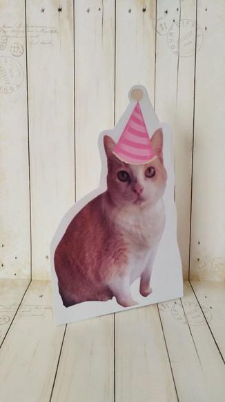 Kit Bandeirola com Foto, Topper e Display com Foto Gato