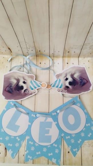 Kit Bandeirola, Topper e Chapeuzinho Aniversário Cachorro
