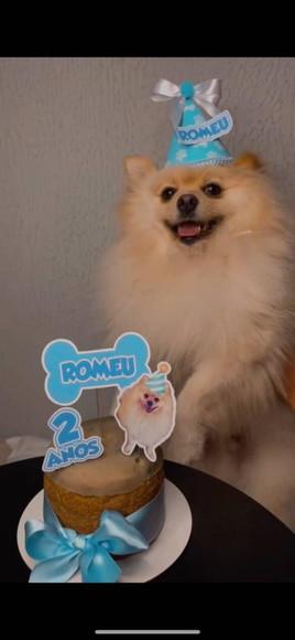 Kit Chapeuzinho e Topper para Bolo Aniversário Cachorro