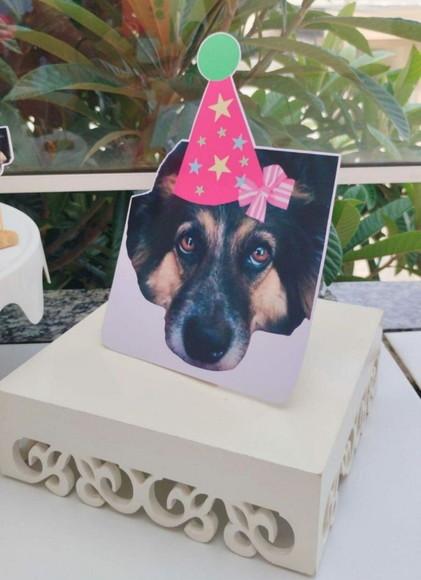 Kit Festa Aniversário Cachorro Topper Bolo e Display