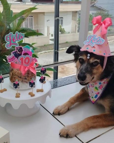 Kit Festa Aniversário Pet Aniversário Cachorro Confeitaria