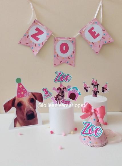 Kit Festa Aniversário Pet Aniversário Cachorro Confeitaria