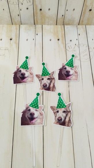 Kit Festa Aniversário Pet Aniversário Cachorro Ossinho Verde