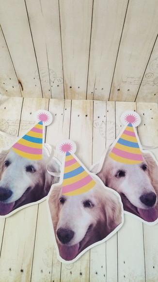 Kit Festa Cachorro Personalizado com Foto e Chapeuzinho