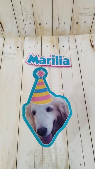 Kit Festa Cachorro Personalizado com Foto e Chapeuzinho