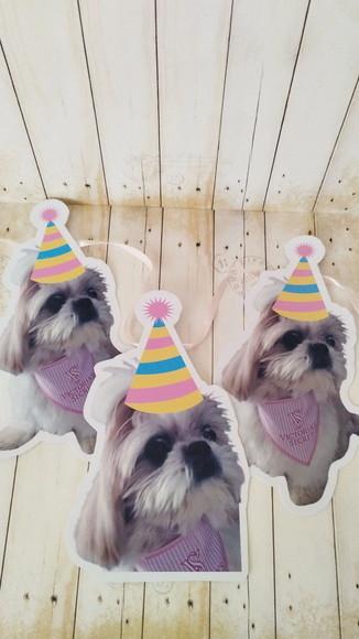 Kit Festa Cachorro Personalizado com Foto e Chapeuzinho