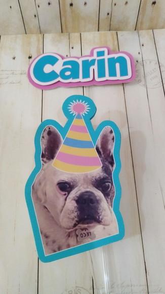 Kit Festa Cachorro Personalizado com Foto e Chapeuzinho