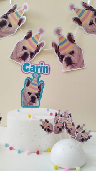 Kit Festa Cachorro Personalizado com Foto e Chapeuzinho
