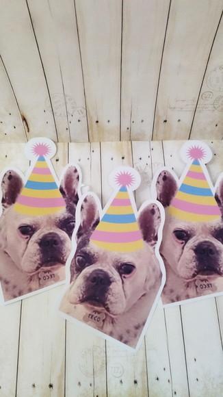 Kit Festa Cachorro Personalizado com Foto e Chapeuzinho
