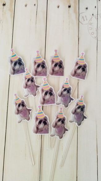 Kit Festa Cachorro Personalizado com Foto e Chapeuzinho