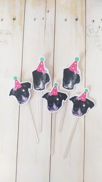 Kit Topper de Bolo Festa Aniversário Preta Pet com Foto