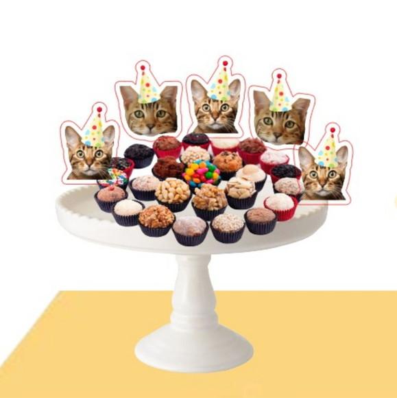 Kit Topper de Bolo Festa Aniversário Pet Gato com Foto