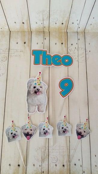 Topper para Bolo Aniversário Pet Cachorro Theo