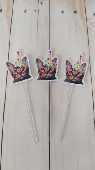 Topper para Docinhos Aniversário Gato com Foto e Chapéu 20un