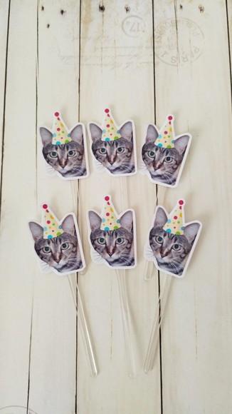 Topper para Docinhos Aniversário Gato com Foto e Chapéu 20un