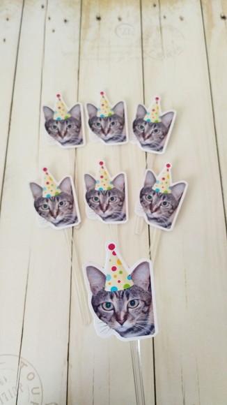 Topper para Docinhos Aniversário Gato com Foto e Chapéu 20un