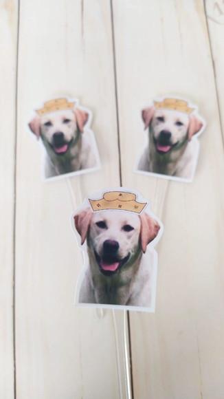 Topper para Docinhos Cachorro com Foto e Chapéu Fazenda 20un